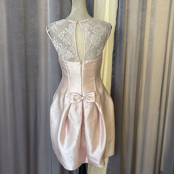 Vera Wang Elegant Lace Detail baby pink  Dress, US4 - Picture 7 of 13